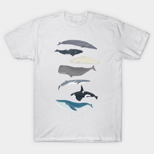 Whales T-Shirt